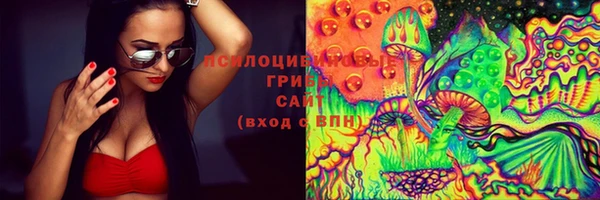 mdpv Горняк