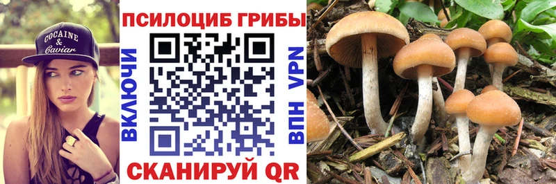 Галлюциногенные грибы Cubensis  Керчь 