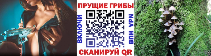 Галлюциногенные грибы MAGIC MUSHROOMS Керчь