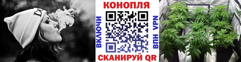 Конопля Bruce Banner  хочу   Керчь 